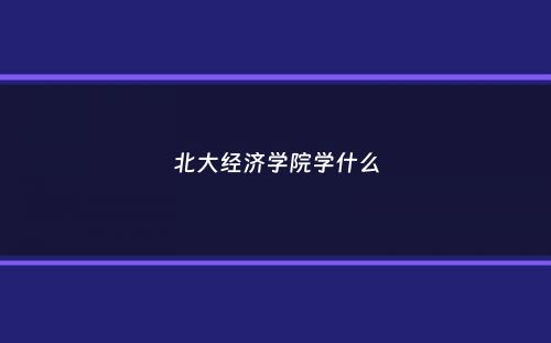 北大经济学院学什么