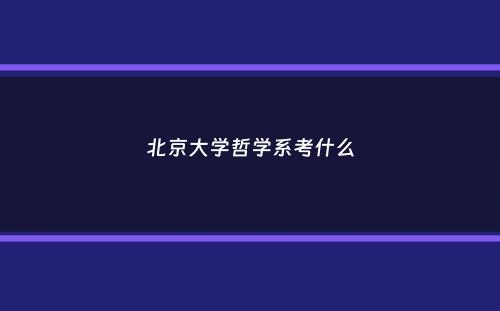 北京大学哲学系考什么