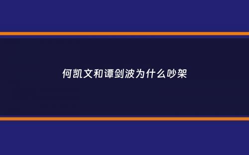 何凯文和谭剑波为什么吵架