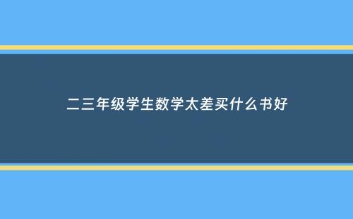 二三年级学生数学太差买什么书好