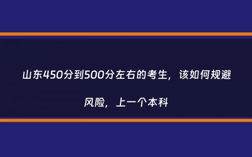 山东450分到500分左右的考生，该如何规避风险，上一个本科