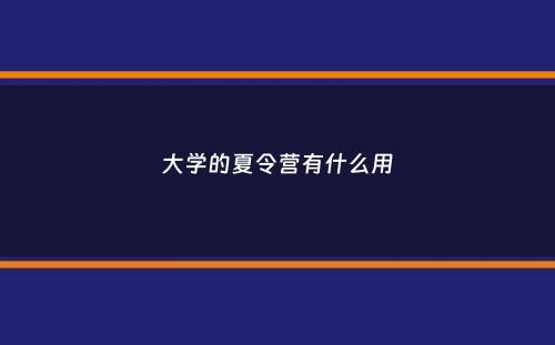 大学的夏令营有什么用