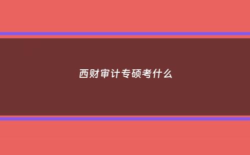 西财审计专硕考什么