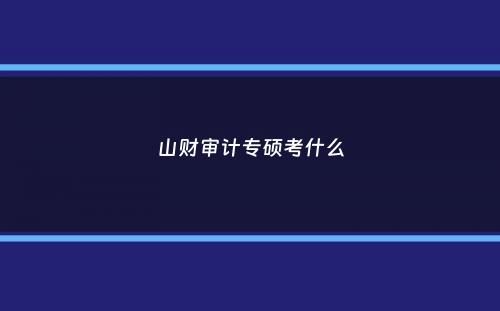 山财审计专硕考什么