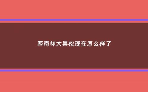 西南林大吴松现在怎么样了