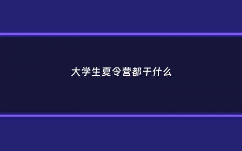 大学生夏令营都干什么