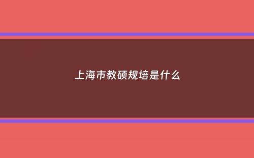 上海市教硕规培是什么