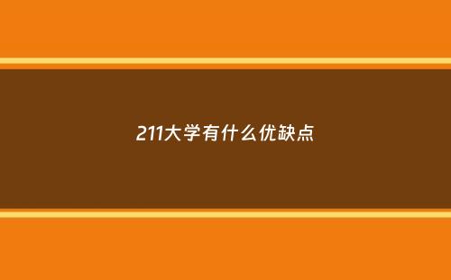 211大学有什么优缺点