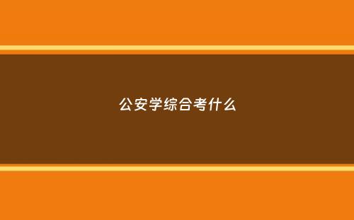 公安学综合考什么