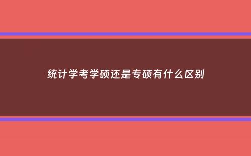 统计学考学硕还是专硕有什么区别