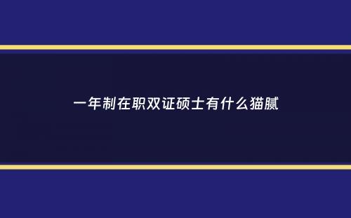 一年制在职双证硕士有什么猫腻