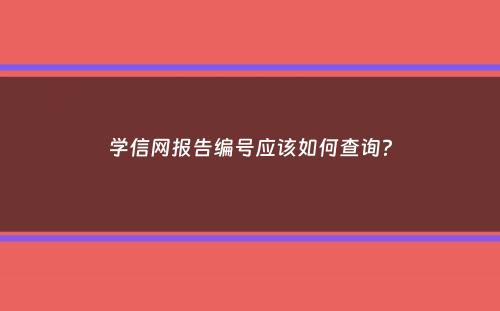 学信网报告编号应该如何查询？