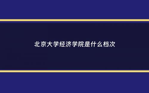 北京大学经济学院是什么档次