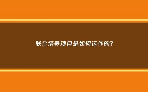 联合培养项目是如何运作的？