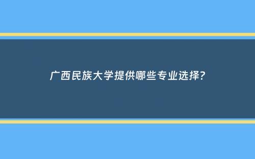 广西民族大学提供哪些专业选择？