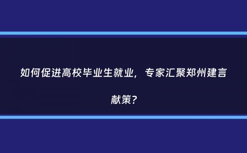 如何促进高校毕业生就业，专家汇聚郑州建言献策？