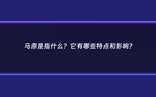 马原是指什么？它有哪些特点和影响？