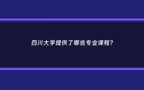 四川大学提供了哪些专业课程？