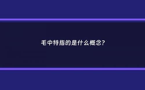 毛中特指的是什么概念？