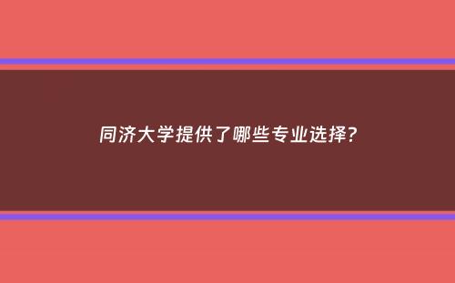 同济大学提供了哪些专业选择？