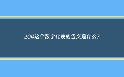 204这个数字代表的含义是什么？