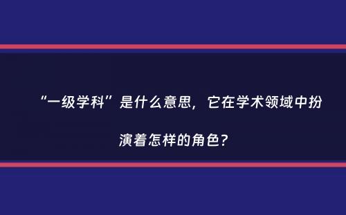 “一级学科”是什么意思，它在学术领域中扮演着怎样的角色？