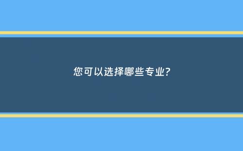 您可以选择哪些专业？