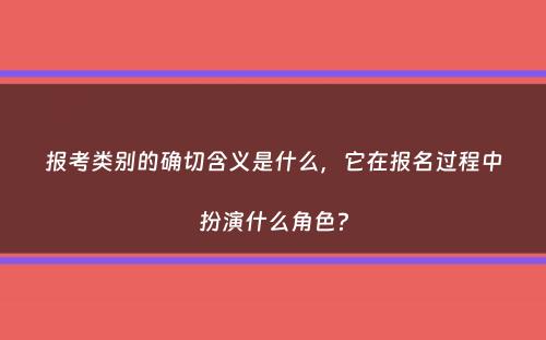 报考类别的确切含义是什么，它在报名过程中扮演什么角色？