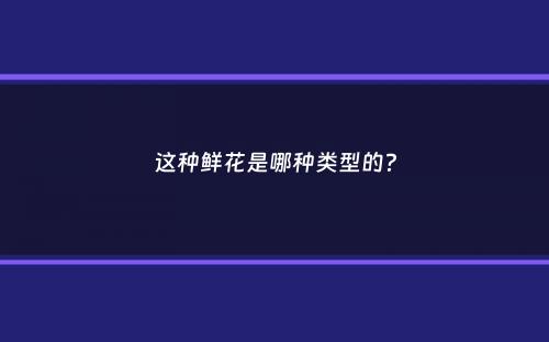 这种鲜花是哪种类型的？