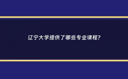 辽宁大学提供了哪些专业课程？