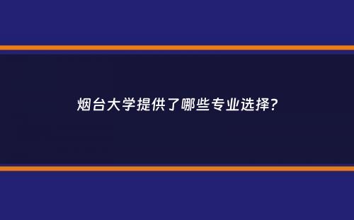 烟台大学提供了哪些专业选择？