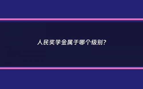 人民奖学金属于哪个级别？