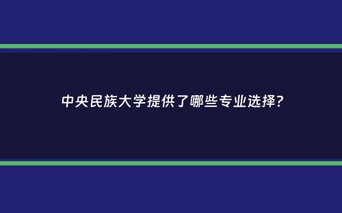 中央民族大学提供了哪些专业选择？