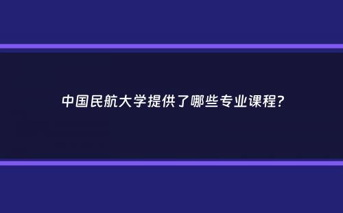 中国民航大学提供了哪些专业课程？