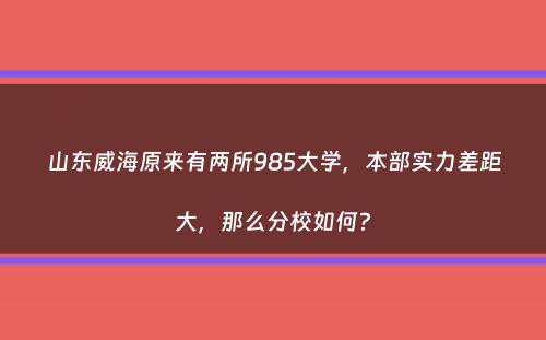 山东威海原来有两所985大学，本部实力差距大，那么分校如何？