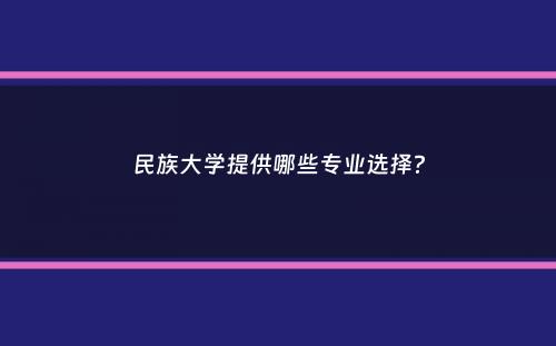 民族大学提供哪些专业选择？