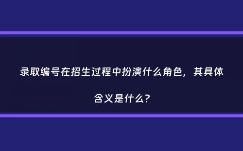 录取编号在招生过程中扮演什么角色，其具体含义是什么？