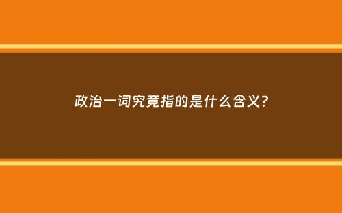 政治一词究竟指的是什么含义？