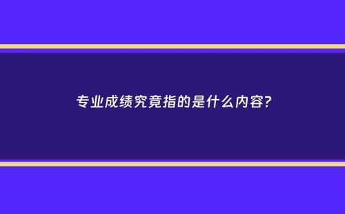 专业成绩究竟指的是什么内容？