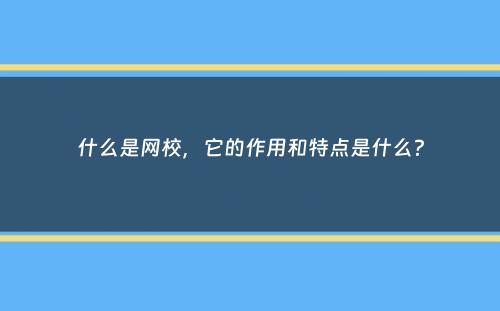 什么是网校，它的作用和特点是什么？