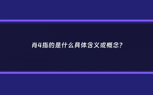 肖4指的是什么具体含义或概念？