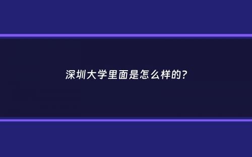 深圳大学里面是怎么样的？