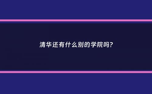 清华还有什么别的学院吗？