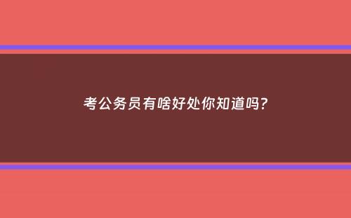 考公务员有啥好处你知道吗？