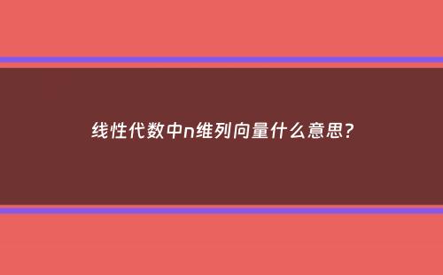 线性代数中n维列向量什么意思？