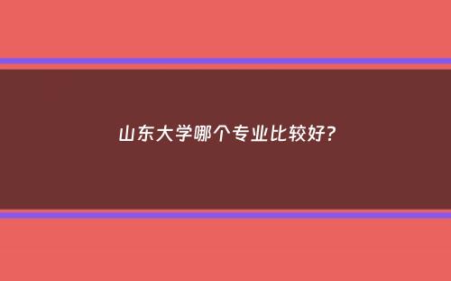 山东大学哪个专业比较好？