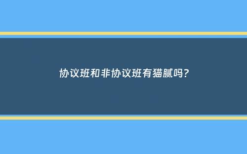 协议班和非协议班有猫腻吗？