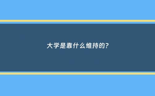 大学是靠什么维持的？