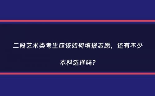 二段艺术类考生应该如何填报志愿，还有不少本科选择吗？