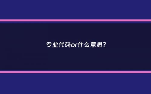 专业代码or什么意思？